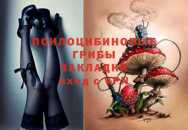 героин Алексин