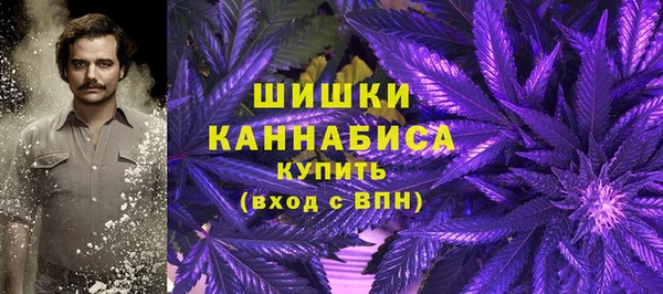2c-b Алзамай