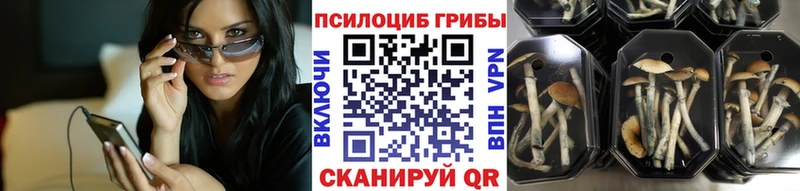 Псилоцибиновые грибы мицелий  Бокситогорск 